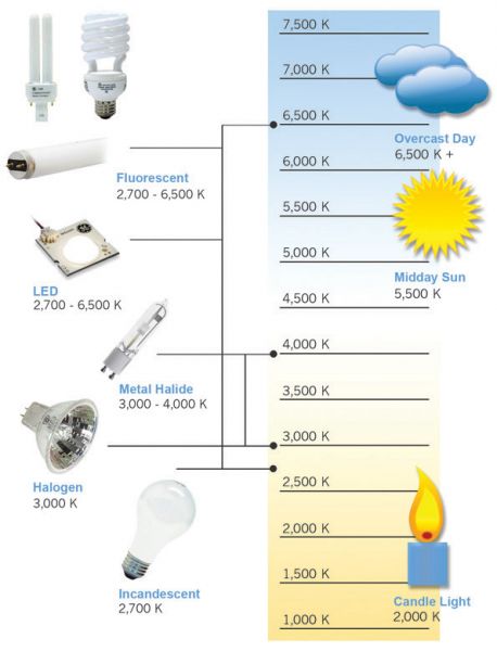 Installing Energy-Efficient Indoor Lighting Systems